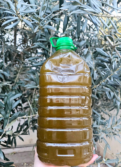 زيت الزيتون البكر - معصور على بارد - ولاية سطيف - 5 لتر